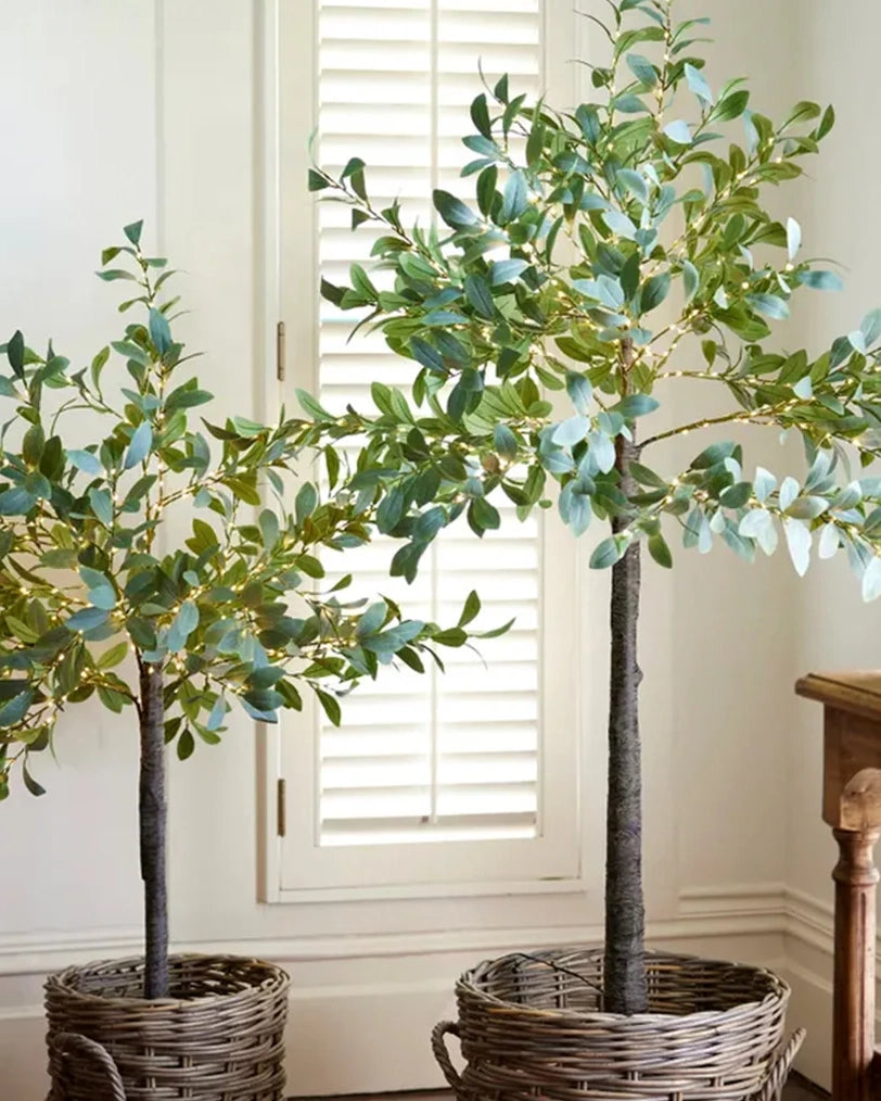 French Country Collections Olive Tree Light Up